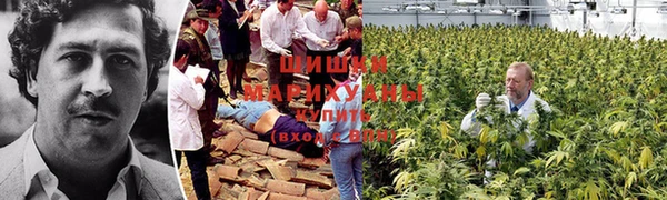 винт Кинешма