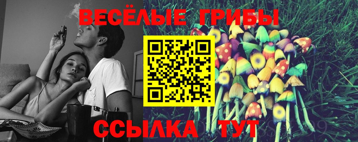Новый Уренгой  Галлюциногенные грибы Psilocybine cubensis  Псилоцибиновые грибы прущие грибы  Вход с VPN 
